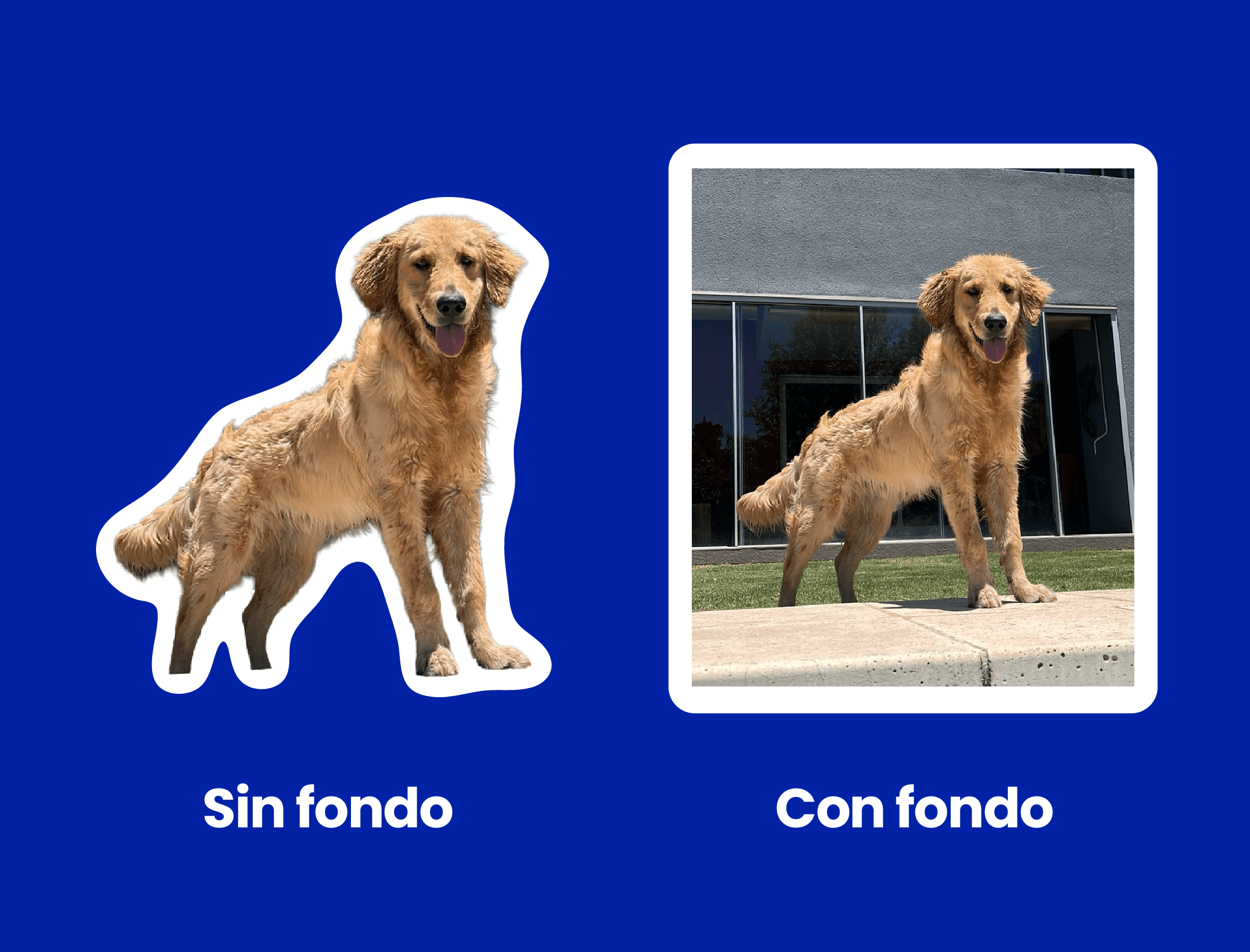 Informacion de personalizados 2